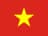 flag vi