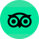 TripAdvisor Icon
