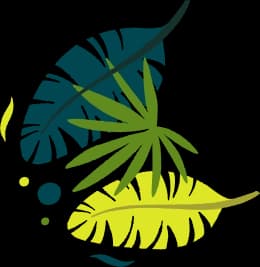 leaf