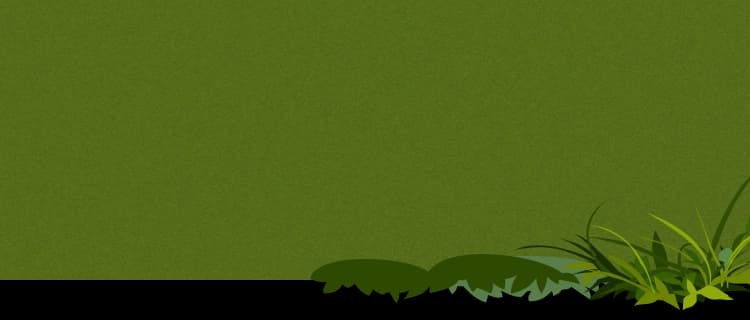 partner background mobile