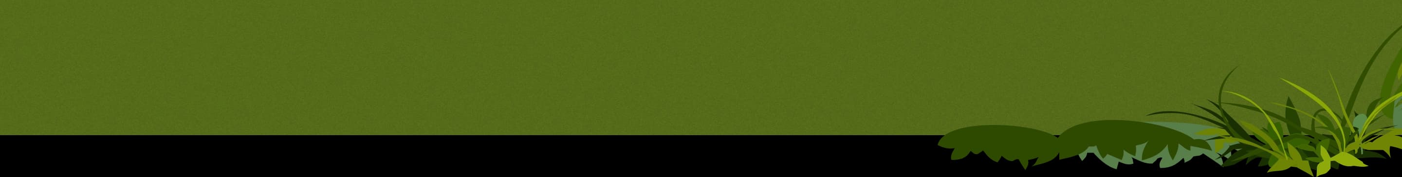 partner background
